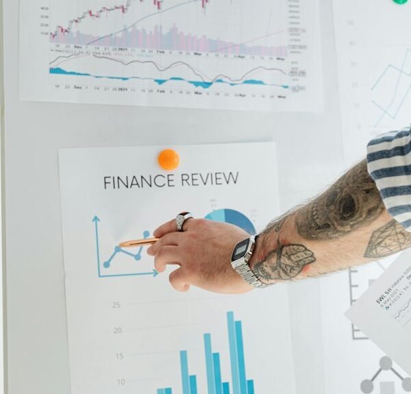 investment insights report summary