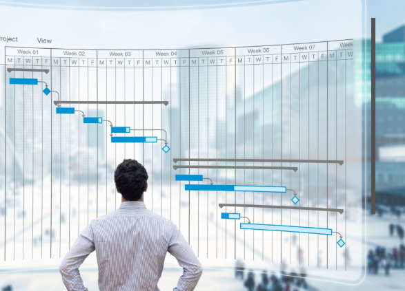 Core Features of Primavera Project Management for Precision Planning